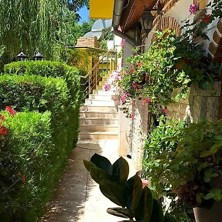 Hotel Jambo